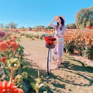 Meet your Posher, Karissa